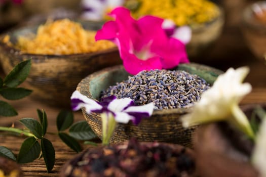 Assorted natural medical, herbs and mortar