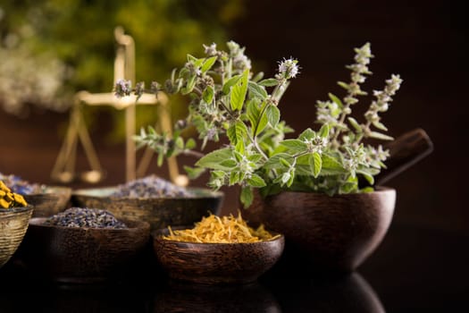 Alternative health, fresh herbal and mortar in black mirror background
