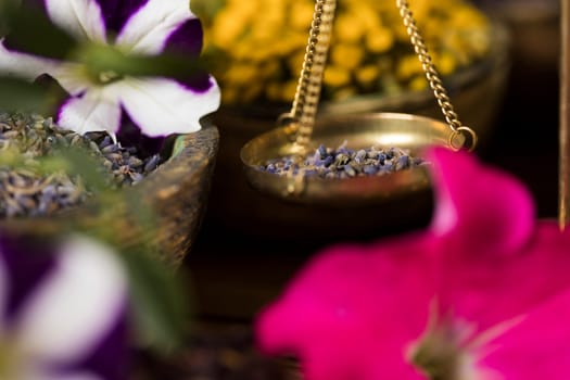Homeopathy, herbal medicine on wooden table