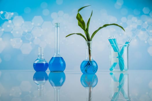 Chemical laboratory glassware, Genetically modified plant
