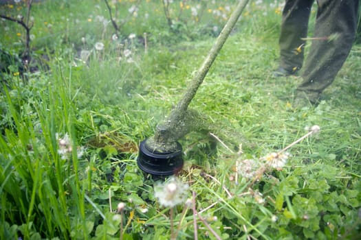 Mowing the grass with a lawn mower. Garden work concept background.