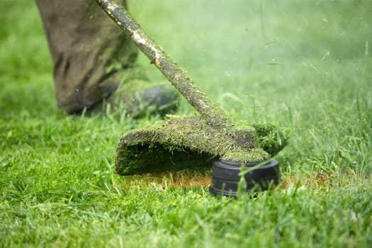 Mowing the grass with a lawn mower. Garden work concept background.