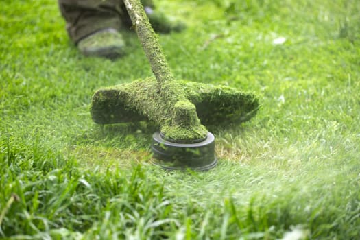 Mowing the grass with a lawn mower. Garden work concept background.
