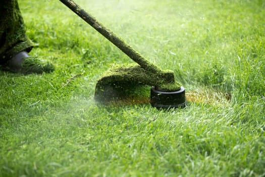 Mowing the grass with a lawn mower. Garden work concept background.