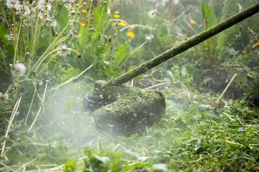 Mowing the grass with a lawn mower. Garden work concept background.