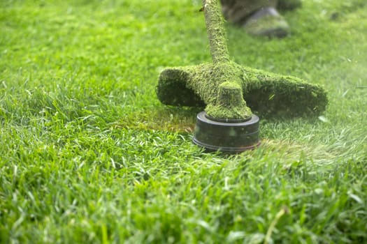 Mowing the grass with a lawn mower. Garden work concept background.