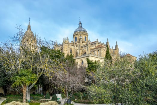 New Cathedral dome in the old city of Salamanca, a UNESCO world heritage site. Spain