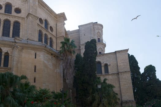 The Cathedral of Málaga, a Roman Catholic church in Málaga city, Spain. It is in the Renaissance architectural tradition. It was constructed between 1528 and 1782..
