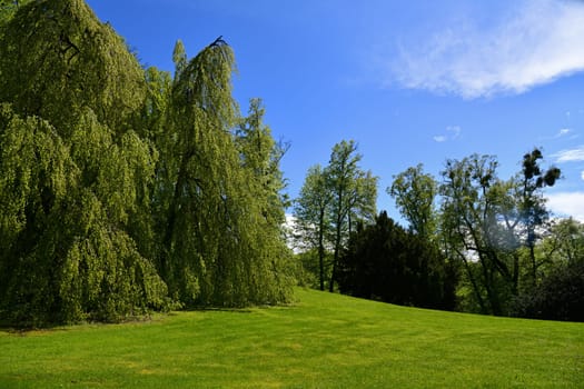 park in Altenstein Castle