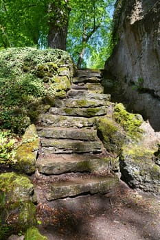 Hike in Altenstein Castle Park