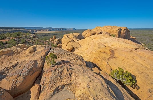 Sandstone Bluff Rising Out of a Lava Plain in El Malpais National Monument in New Mexico