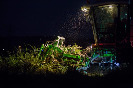 Tomato harvester working at night. Vegas Bajas del Guadiana, Spain