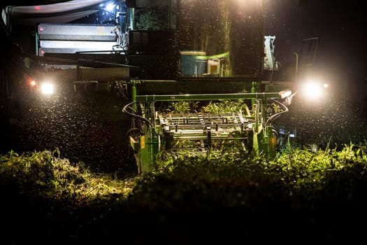 Tomato harvester working at night. Vegas Bajas del Guadiana, Spain
