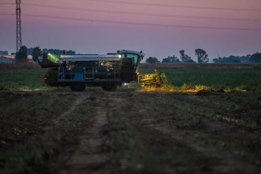 Tomato harvester maneuver at night. Vegas Bajas del Guadiana, Spain