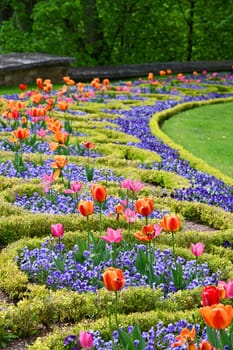 flowerbed