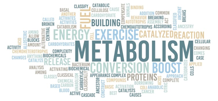 Metabolism in Your Body Chemical Reaction Concept