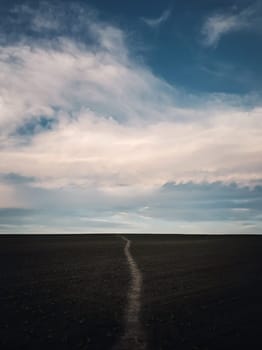 Narrow footpath across a desolate agricultural land, with growing sunflower plants, below a blue sky. Tranquil and minimalist vertical orientation background. Countryside conceptual landscape