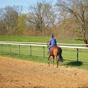 Horse and rider training on the racecourse