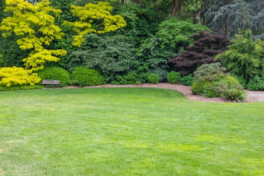 Beautiful Green Garden Setting With Wood Bench