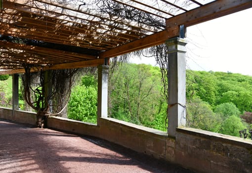 pergola
