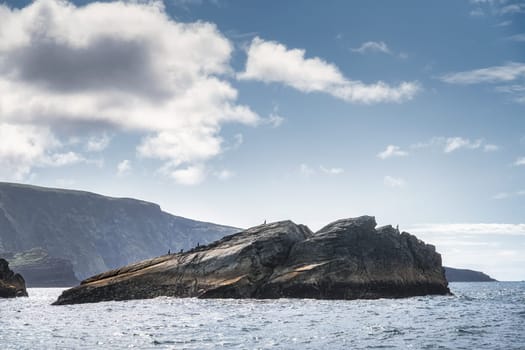 Silhouette of cormorant birds sitting on a rock with Kerry Cliffs in the background, Iveragh peninsula, Ring of Kerry, Wild Atlantic Way, Ireland
