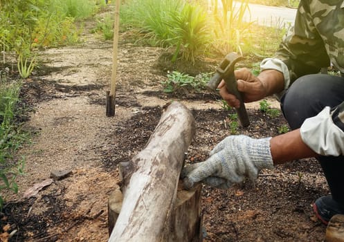 A man hammer a tree with a hammer and  nail for making a chair at garden.