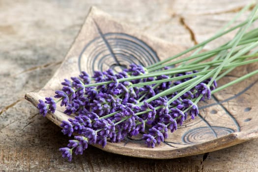 Bunch of lavender flowers on clay plate