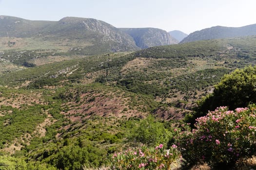 The famous byzantine monastery of Hosios Loukas in Central Greece