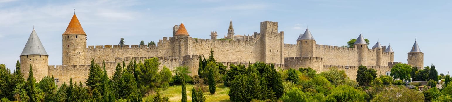 Panoramic view of Carcassonne fortress France, closeup of olive trees