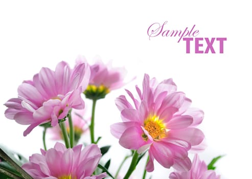 Flower bouquet isolated over white background