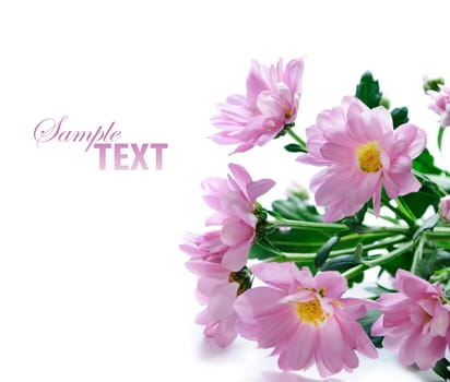 Flower bouquet isolated over white background