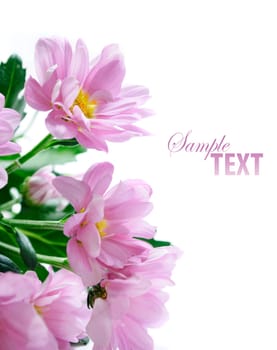 Flower bouqet isolated over white background