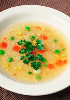 Closeup of colorful vegetable soup with parsley
