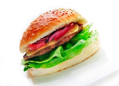 Delicious hamburger in front of white background