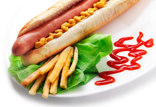 Hot dog and french fries decorated in white plate