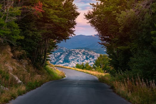 Road in woods and mountains of Montenegro, Balkans, Europe.