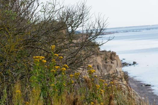 Steep coast on the Baltic Sea near Ahrenshoop