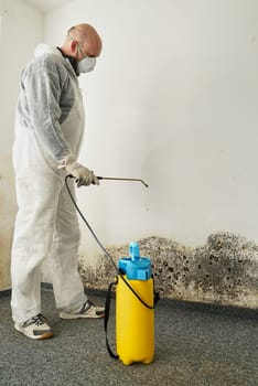 Specialist in the elimination of severe mold in an apartment