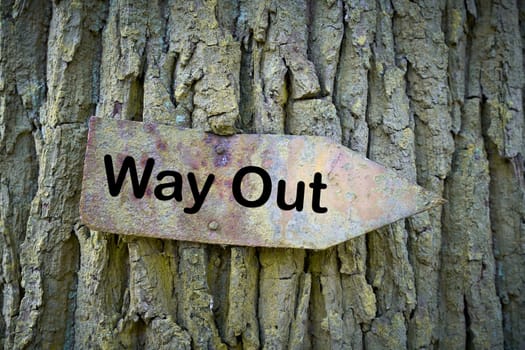old rusty sign with the inscription way out on a tree