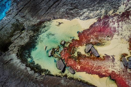 Floating in pretty blue tidal pools, rich red rocks among the usual  grey brown.  A few vibrant blue rocks sparkle in the water too which mesmerise visitors