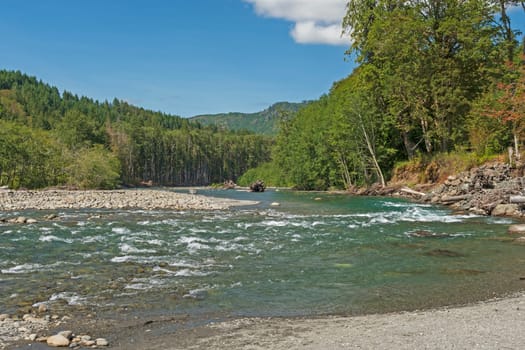Coastal Mountain Stream Rushing to the Ocean in Olympic National Park in Washington