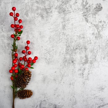 Background a branch with berries and cones on a textured plastered wall. For product demonstrations, free space, layout, mockup, perspective board, background board.