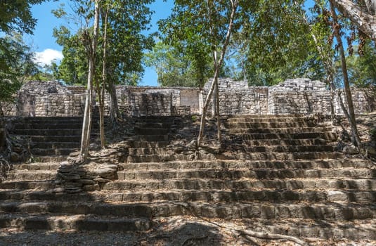 The temple ruins of the ancient Mayan city of Calakmul, Campeche, Mexico