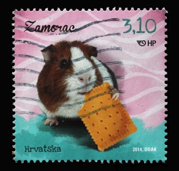 A stamp printed in Croatia shows Guinea Pig (Cavia porcellus), series, Children's World - Pets, circa 2014