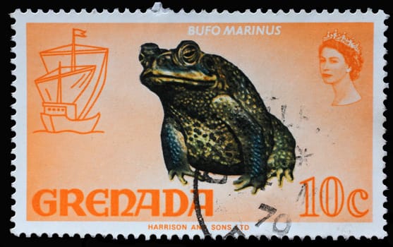 Stamp printed in Grenada shows Cane Toad (Bufo marinus), Series Flora and Fauna Definitives 1968-1971, circa 1969