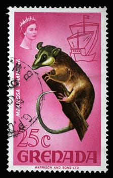 Stamp printed in Grenada shows Mouse Opossum (Marmosa chapmani), Series Flora and Fauna Definitives 1968-1971, circa 1969