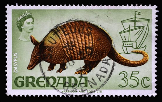 Stamp printed in Grenada shows Nine-banded Armadillo (Dasypus novemcinctus), Series Flora and Fauna Definitives 1968-1971, circa 1969
