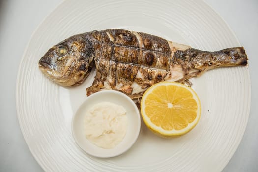 Grilled organic dorada fish with lemon on white dish