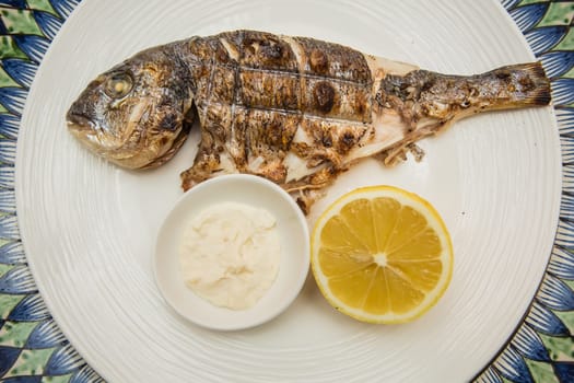 Grilled organic dorada fish with lemon on white dish