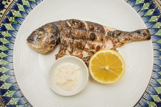 Grilled organic dorada fish with lemon on white dish